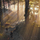 Illustration for article titled A Secret Boss Was Hidden In iThe Division 2/i For Months, Until The Developers Teased It